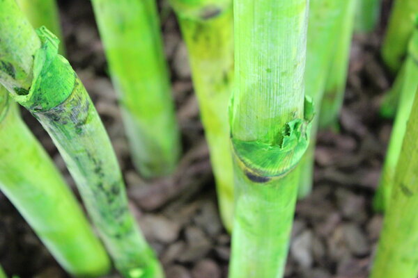 Umweltleitlinien  Dold AG - Lacke und Farben